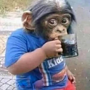 Meet your Posher, Bill